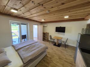 a bedroom with a bed and a desk and a television at Apartma Markelj in Radovljica