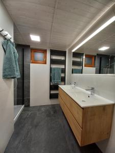 a bathroom with a sink and a large mirror at Chata Vedle Jedle in Dolní Morava +18 photos