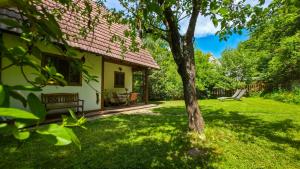 a house with a bench in a grass yard at Căsuța cu Alune in Rîmeţi-Valea Uzei