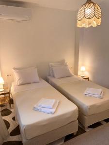 two twin beds in a room with a chandelier at Villa Ethel Vourvourou in Vourvourou