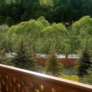 a view of a yard with trees and a fence at Chalet Zolota Pidkova&River 1 in Slavske