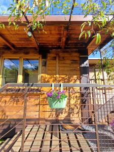 a porch of a house with a potted plant at Jasmine & Rose House in Udine