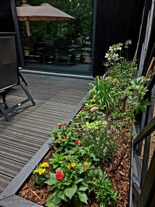 a garden of flowers on a porch of a restaurant at Whispering Pines in Retie