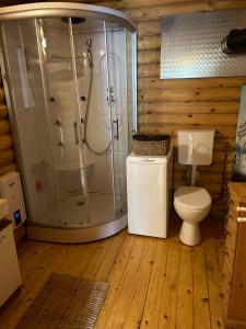 a bathroom with a shower and a toilet at Vacations for a good cause in Drochtersen