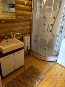 a bathroom with a shower and a sink at Vacations for a good cause in Drochtersen +13 photos