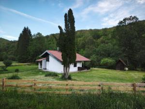 a white house with a tree in a field at Wellness house Svjetlost in Jahorina