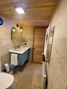 a bathroom with a sink and a mirror and a toilet at Tiny Under Chalet in Santiago +22 photos