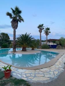 a swimming pool with palm trees in a resort at Little house paradise in Sant Pau dʼOrdal