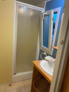 a bathroom with a shower and a sink at Little house paradise in Sant Pau dʼOrdal +14 photos