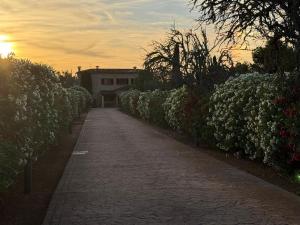 a brick pathway with flowers and a building in the background at Finca Sara Christiana in Campos