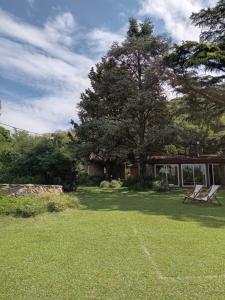 a house with a tree and chairs in a yard at Casita de Piedra B&B in Villa del Dique