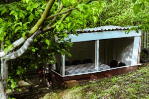 a small house with chairs in the yard at Abelyans Fam Hotel in Alaverdi