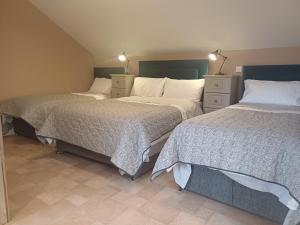 two beds sitting next to each other in a bedroom at Ethan House Holiday Suites in Killarney