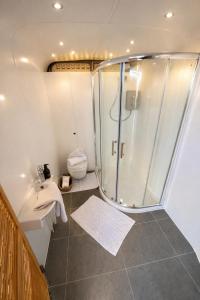 a bathroom with a shower and a toilet at Wiltshire Weavers Hut in Chippenham