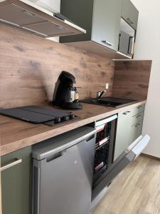 a kitchen with a counter with a stove top oven at Appartement PICHOLINE in Saint-Sorlin-en-Bugey