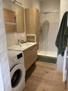 a bathroom with a washing machine and a shower at Appartement PICHOLINE in Saint-Sorlin-en-Bugey +13 photos