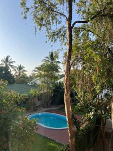 a swimming pool in a yard with trees at Hans kili home in Moshi