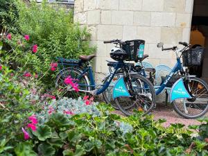 two bikes parked in a garden with flowers at Maison D'hôtes Saint-Gildas in Beaufort-en-Vallée