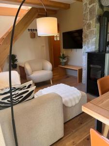 a living room with a couch and a fireplace at Lill' Hill estate & wellness - Lumina Chalet in Idrija