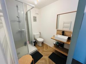 a bathroom with a shower and a toilet and a sink at Mon petit cocon auvergnat in Combronde