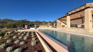 a swimming pool with cacti in front of a building at Casa La Petite in San Pantaleo