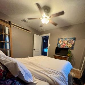 a bedroom with a bed and a ceiling fan at Quaint & Vivacious Room-Queen in Kyle