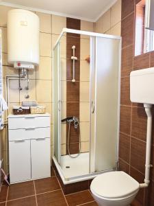 a bathroom with a shower and a toilet at Vila Petar Mokra Gora in Mokra Gora +22 photos