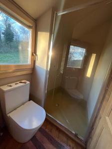 a bathroom with a toilet and a shower at Káli Jurta in Tapolca