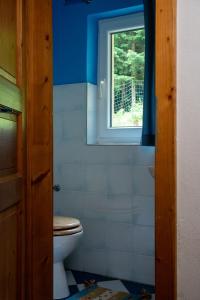 a bathroom with a toilet and a window at Naturidyll Lavantall in Lading