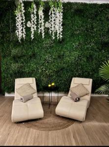 two white chairs in front of a green wall at Luxus Spa Wellness Apartment in Heiligenhaus