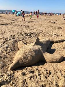 a sand sculpture of a turtle on a beach at The Lighthouse Cabin in Noordwijk +25 photos