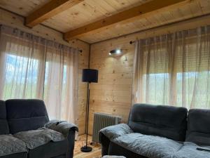 a living room with two couches and a floor lamp at Camp Birch Forest in Pljevlja