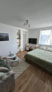 a large bedroom with a large bed and a couch at DIV Apartman in Vrnjci