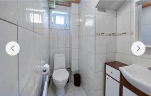 a white bathroom with a toilet and a sink at Grå villa in Vislanda +4 photos