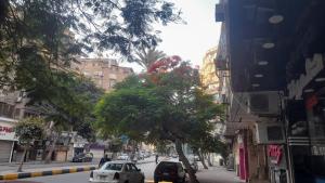 a city street with cars parked next to a tree at استديوهات3 Hs Hotels استديو مخدوم in Cairo