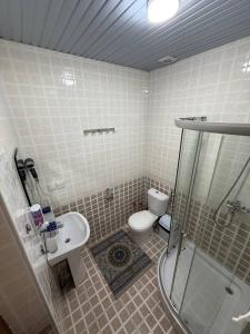 a bathroom with a toilet and a sink and a shower at SHoxtut INN 18-19Th Century in Bukhara