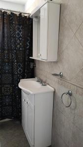 a bathroom with a white sink and a shower curtain at LenPui I in Ostende