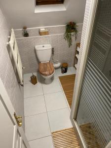a bathroom with a toilet in a small room at Villa des marots in Troyes