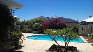 a small swimming pool with a tree in a yard at Halls Head Holiday Home in Mandurah