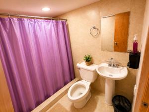 a bathroom with a purple shower curtain and a toilet and sink at Hotel Mirador Creel in Creel