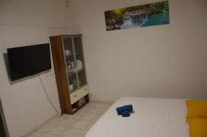 a bedroom with a tv and a bed with a blue toy at La suite Corossol in Gros-Morne