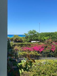 a garden with pink flowers and the ocean in the background at Oasi Baia Verde in Baia Verde