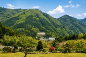 a view of a mountain with trees and bushes at Pyeongchang Estrella Pension in Pyeongchang