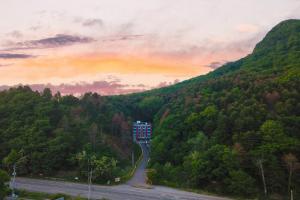 a road in the middle of a mountain with trees at Pygmalion Effect in Chuncheon