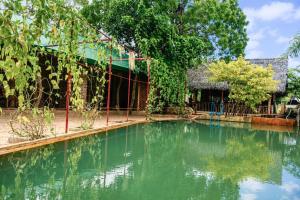 a pool of green water in front of a building at Unawa Retreat in Tissamaharama