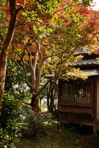 a wooden bench sitting next to a tree at 蔵宿あさぎやみたけ in Ome