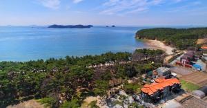 an aerial view of a house next to the ocean at Taean janggog pension in Taean