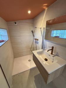 a bathroom with a sink and a shower at Studio Smart&Cosy in Porto-Vecchio