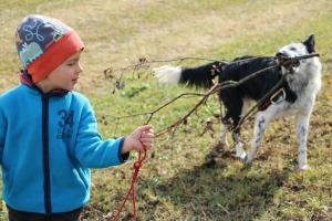 Domáce zviera alebo zvieratá hostí v ubytovaní Tiefhof