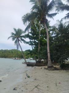 two palm trees on a beach next to the water at Mamatitas in San Vicente